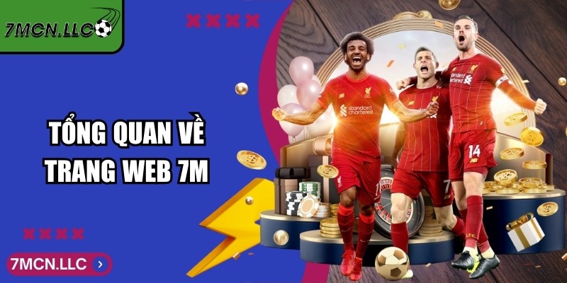 Tổng quan về trang web 7M