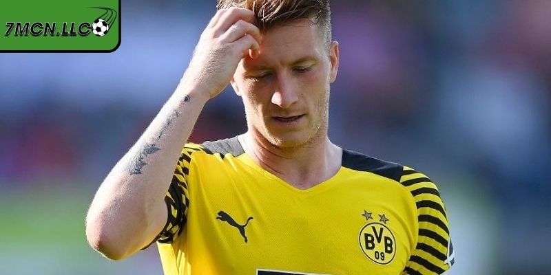 Biểu tượng trung thành Dortmund ảnh hưởng chuyên môn bền bỉ