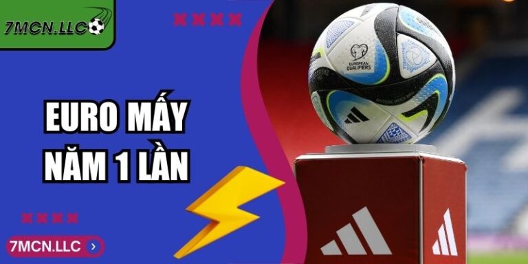 Euro Mấy Năm 1 Lần? - Giải Thích Dễ Hiểu Cho Người Mới 9 Euro Mấy Năm 1 Lần? - Giải Thích Dễ Hiểu Cho Người Mới